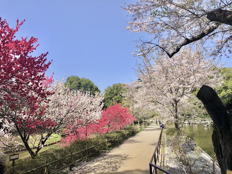 清水公園