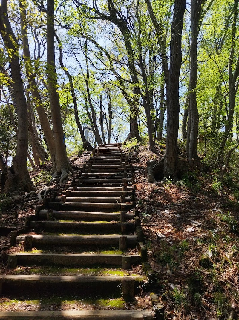 森の科学館