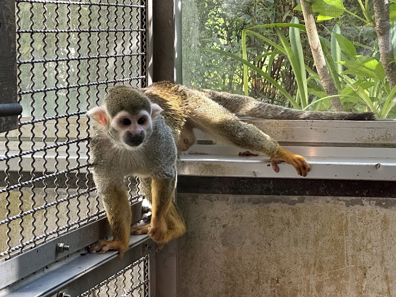 足立区生物園