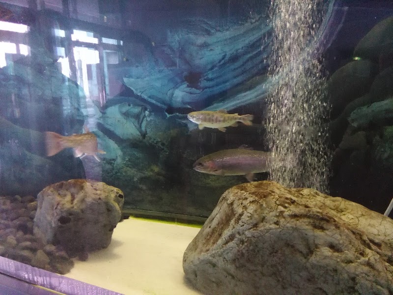 多摩川ふれあい水族館 の写真