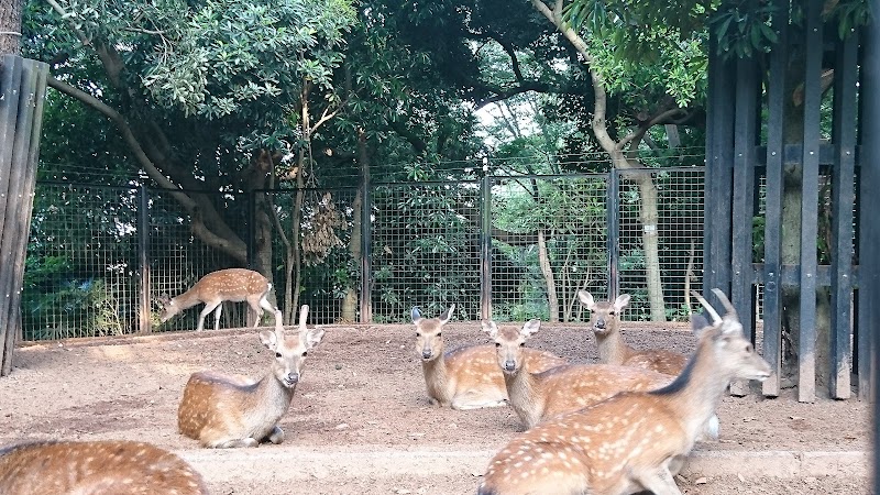 夢見ヶ崎動物公園