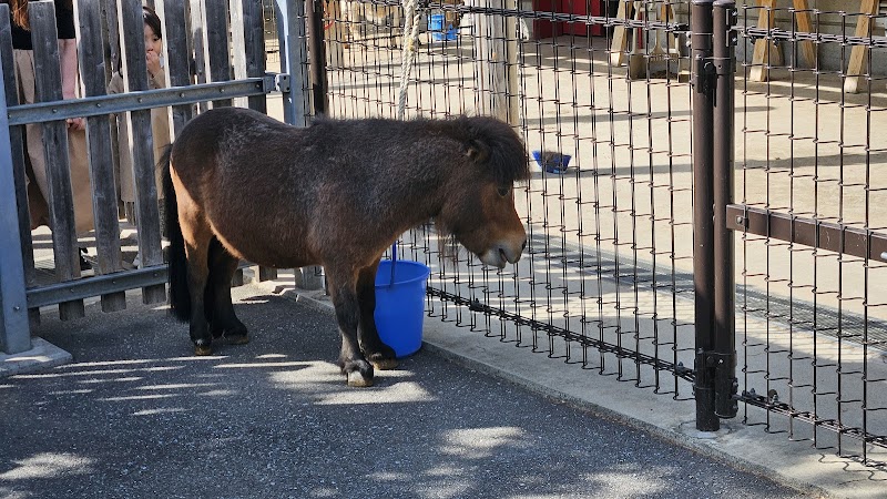 板橋こども動物園