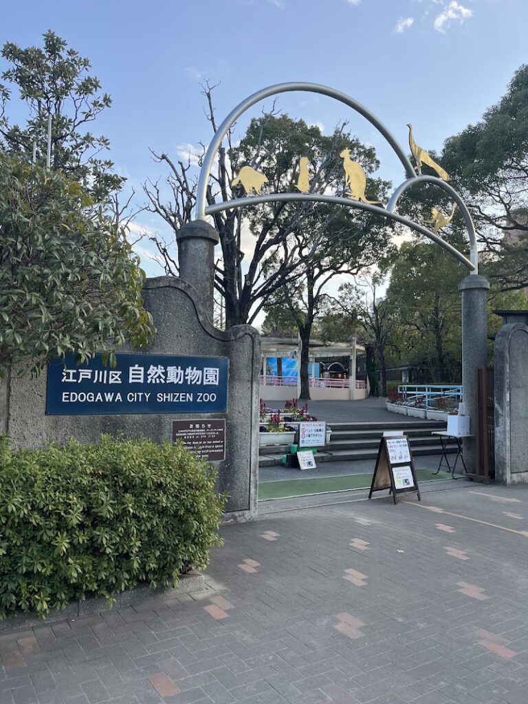 こども動物園 の写真