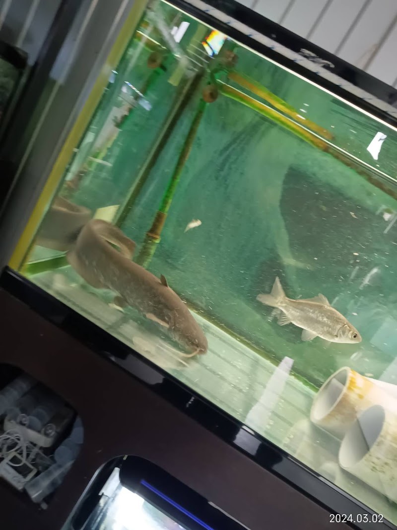 街のミニ水族館しおや