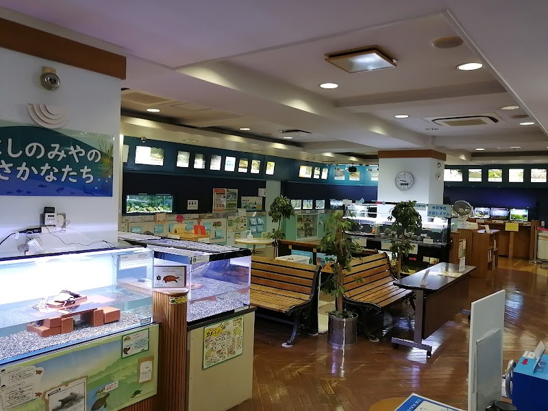 ミニミニ水族館