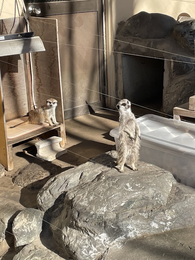 HasedenあげおまんまるZoo