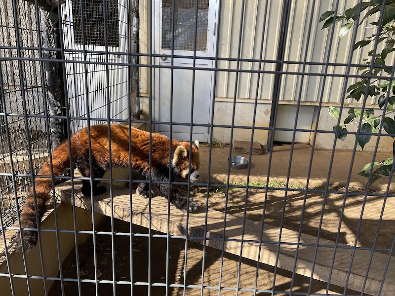 市川市動植物園