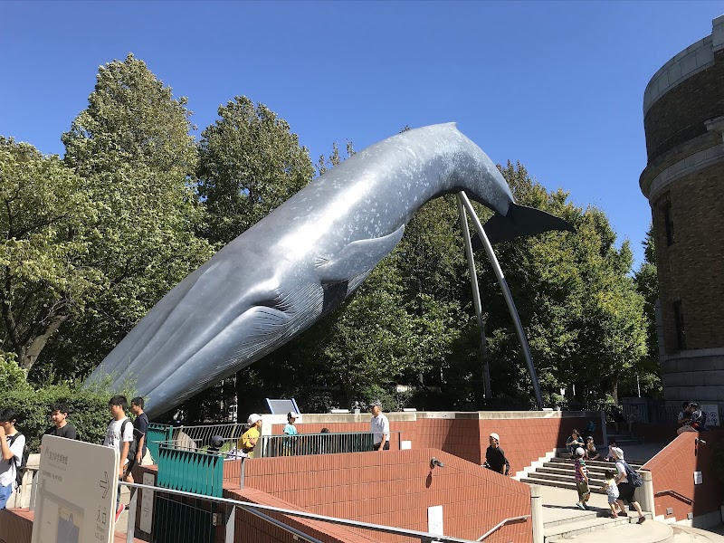 国立科学博物館