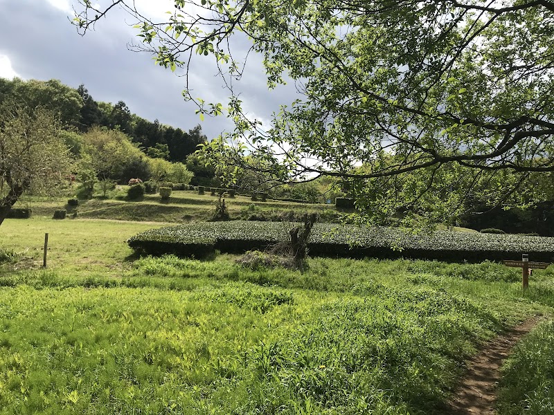 さいたま緑の森博物館