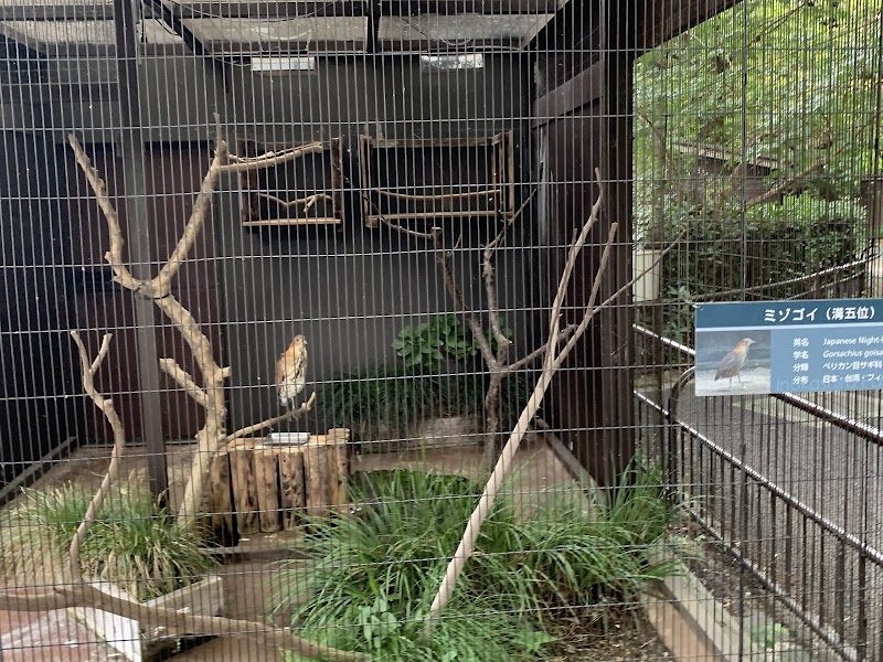 井の頭自然文化園 水生物館