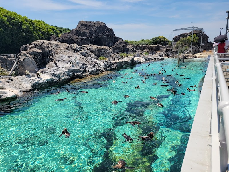 葛西臨海水族園