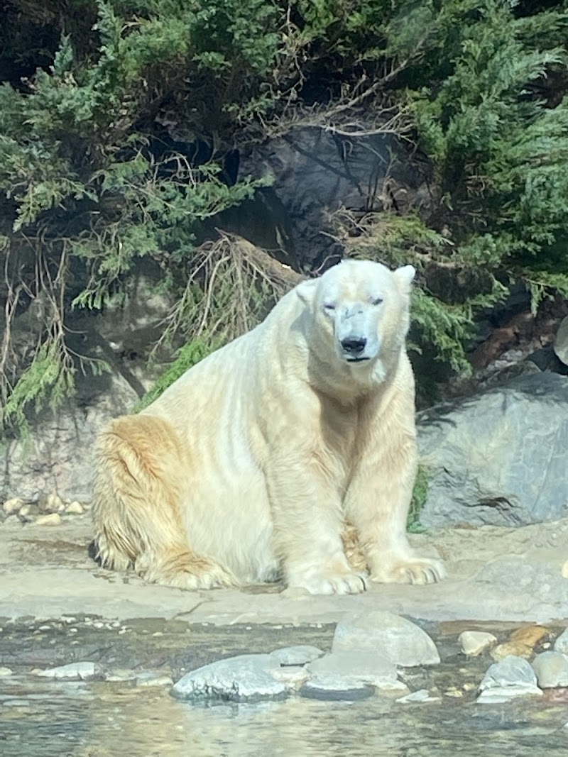 横浜動物の森公園（よこはま動物園ズーラシア）