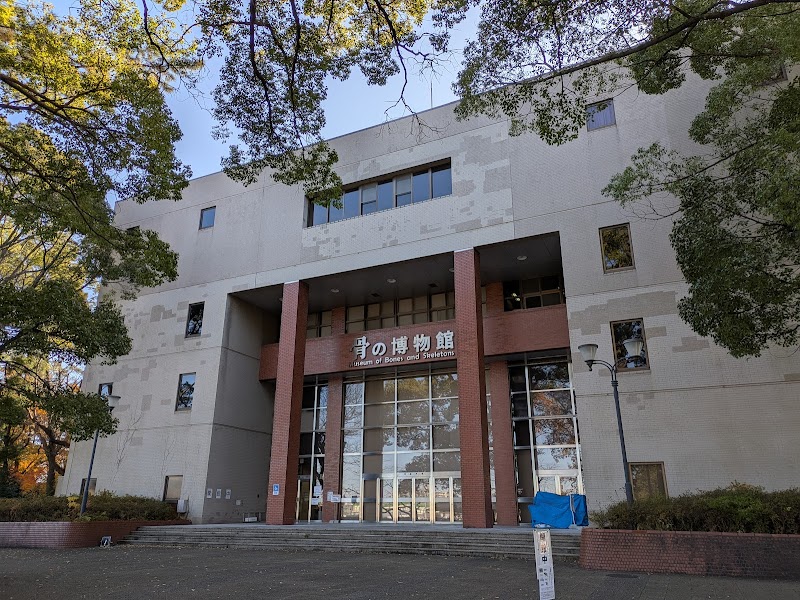日本大学生物資源科学部博物館 骨の博物館