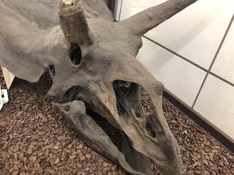 板橋区立教育科学館