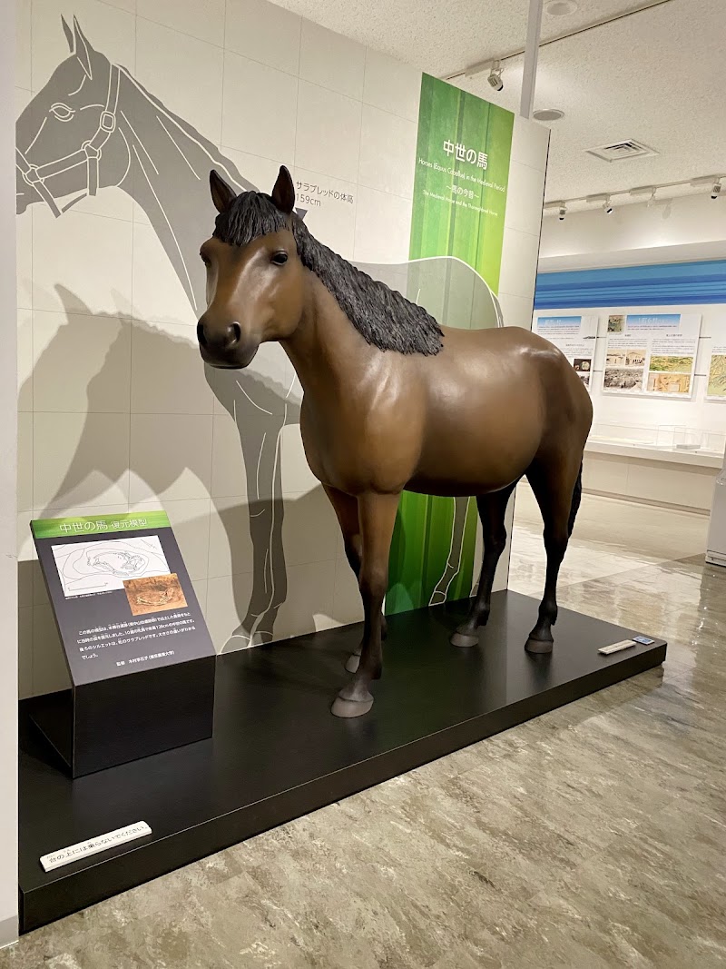 船橋市郷土資料館