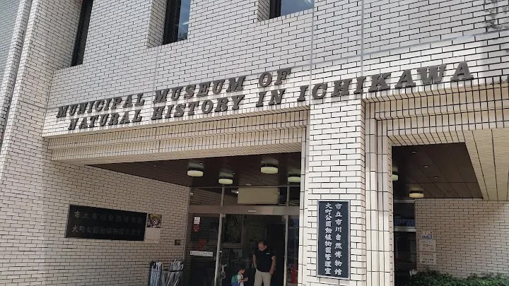 市立市川自然博物館 の写真