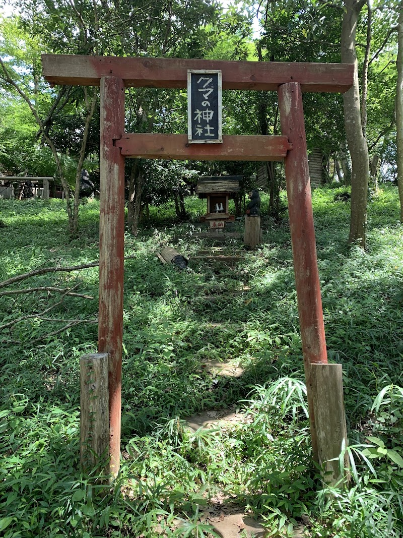 クマの森ミュージアム