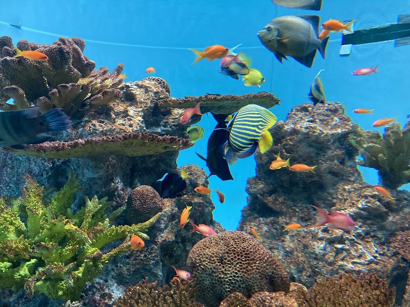 葛西臨海水族園
