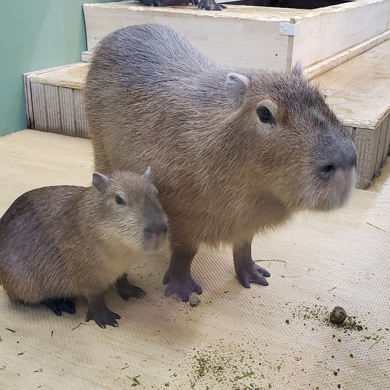 相模川ふれあい科学館 アクアリウムさがみはら