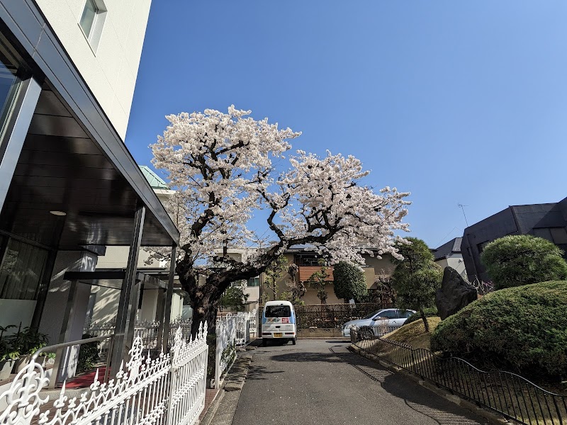 日本書道美術館