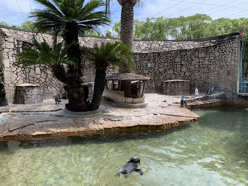 こども動物園