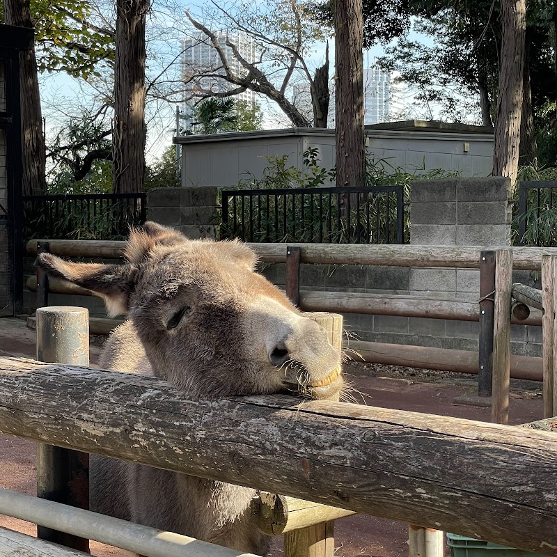 夢見ヶ崎動物公園