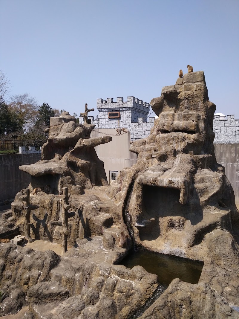 市立市川自然博物館