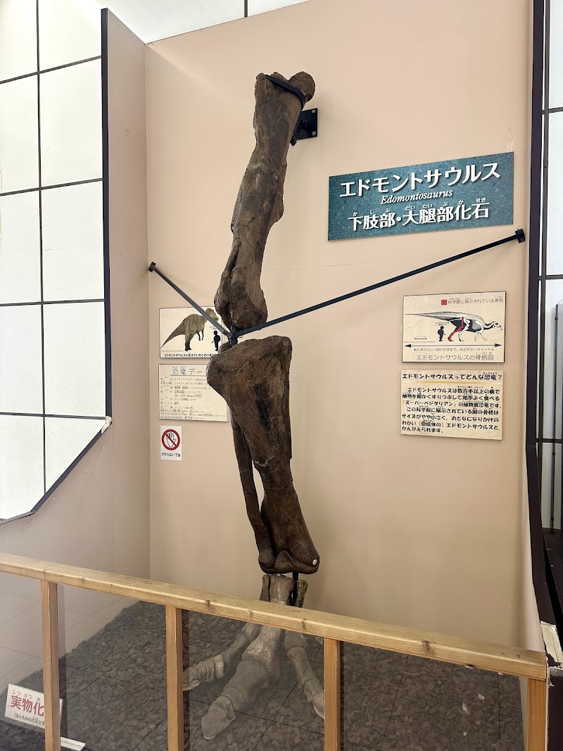 板橋区立教育科学館