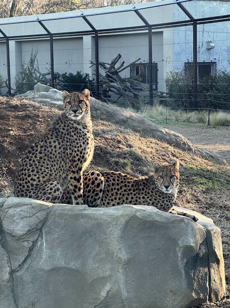 千葉市動物公園