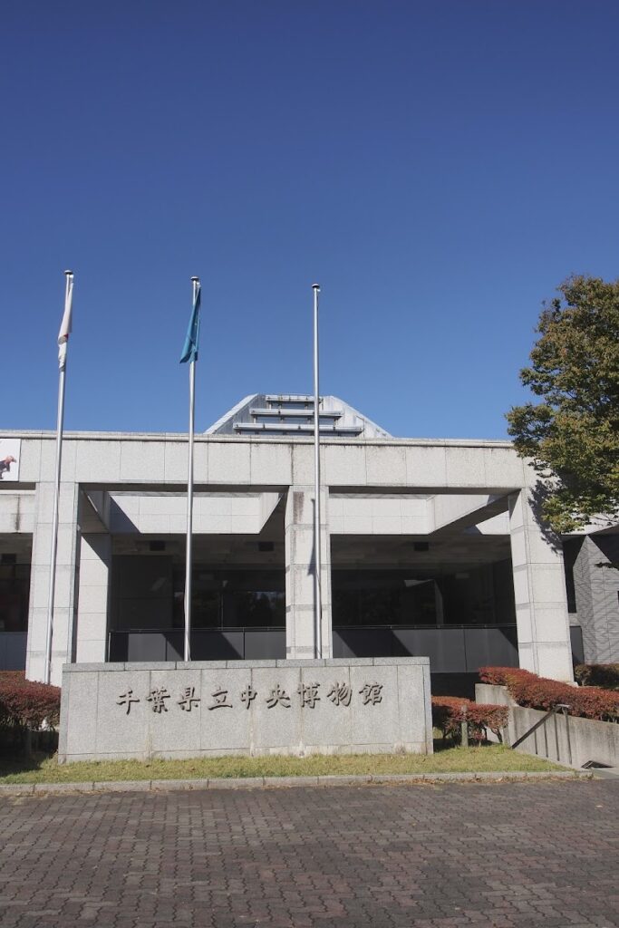 千葉県立中央博物館 の写真