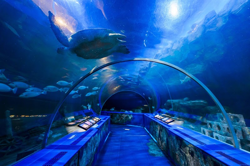 しながわ水族館 の写真