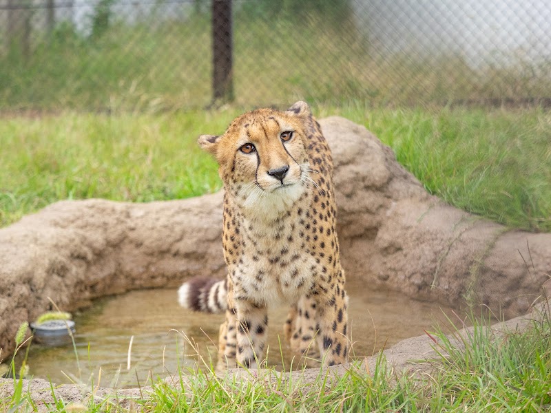 千葉市動物公園 の写真
