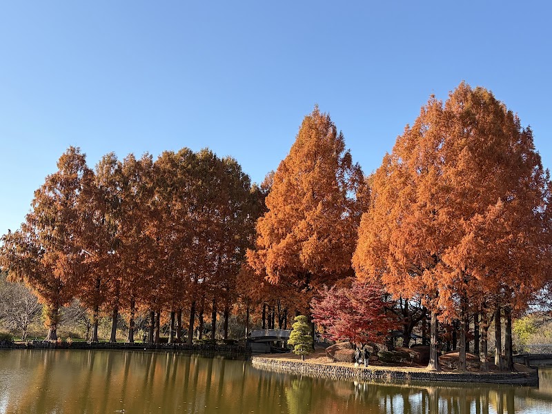上尾丸山公園