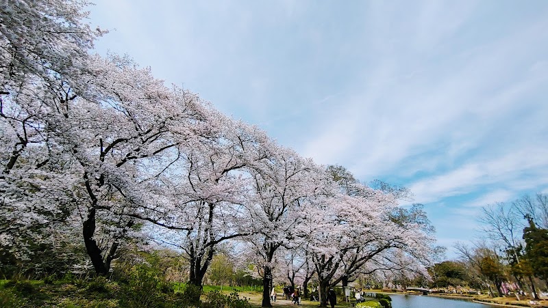 上尾丸山公園