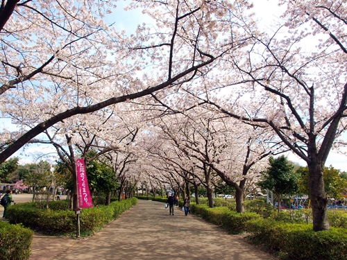 上尾丸山公園
