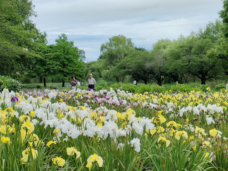 上尾丸山公園