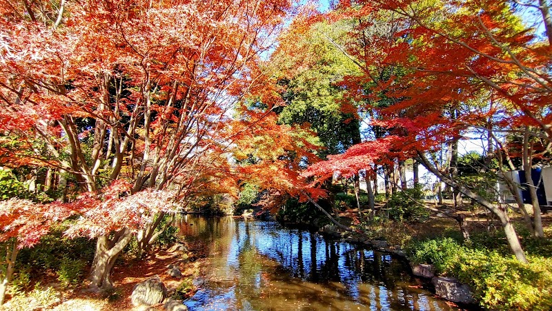 上尾丸山公園