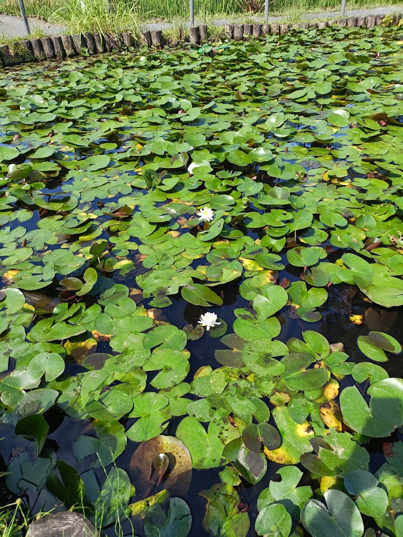 上尾丸山公園