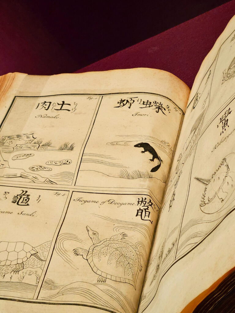 東洋文庫ミュージアム‐動物の本