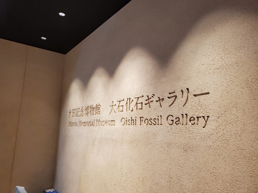 大石化石ギャラリー‐入口