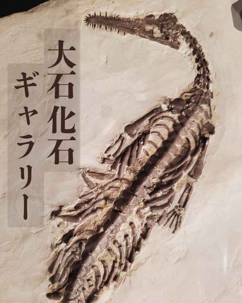 9トップ画像