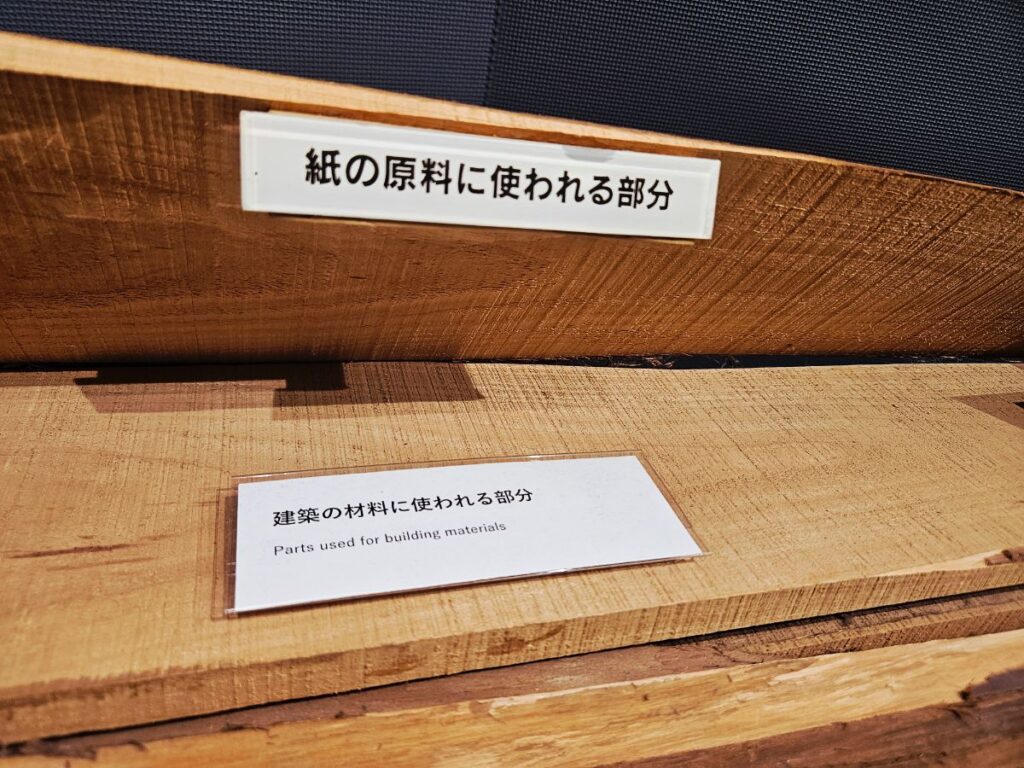 紙の元の木