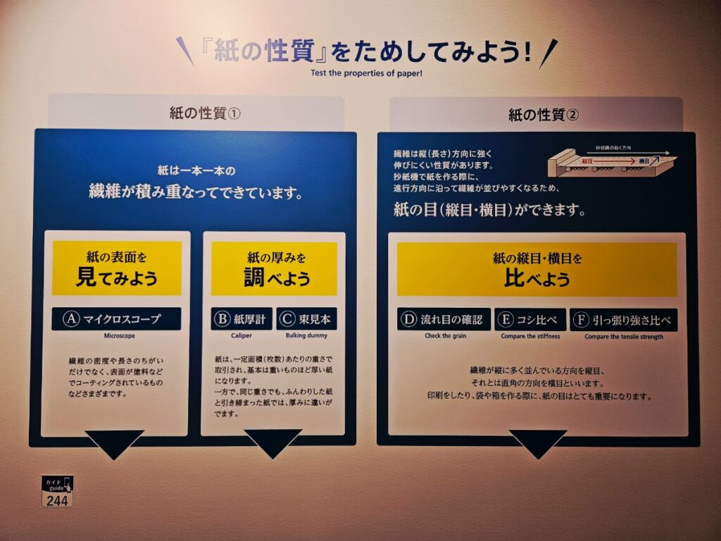 クイズで学ぶ木