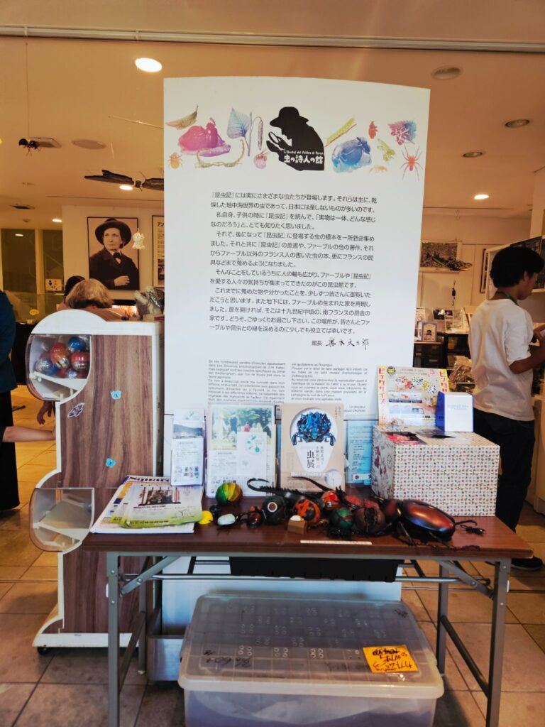 “虫の詩人”と呼ばれたファーブル。虫をじっくり見つめるまなざしが、館内の展示から伝わってきます。
