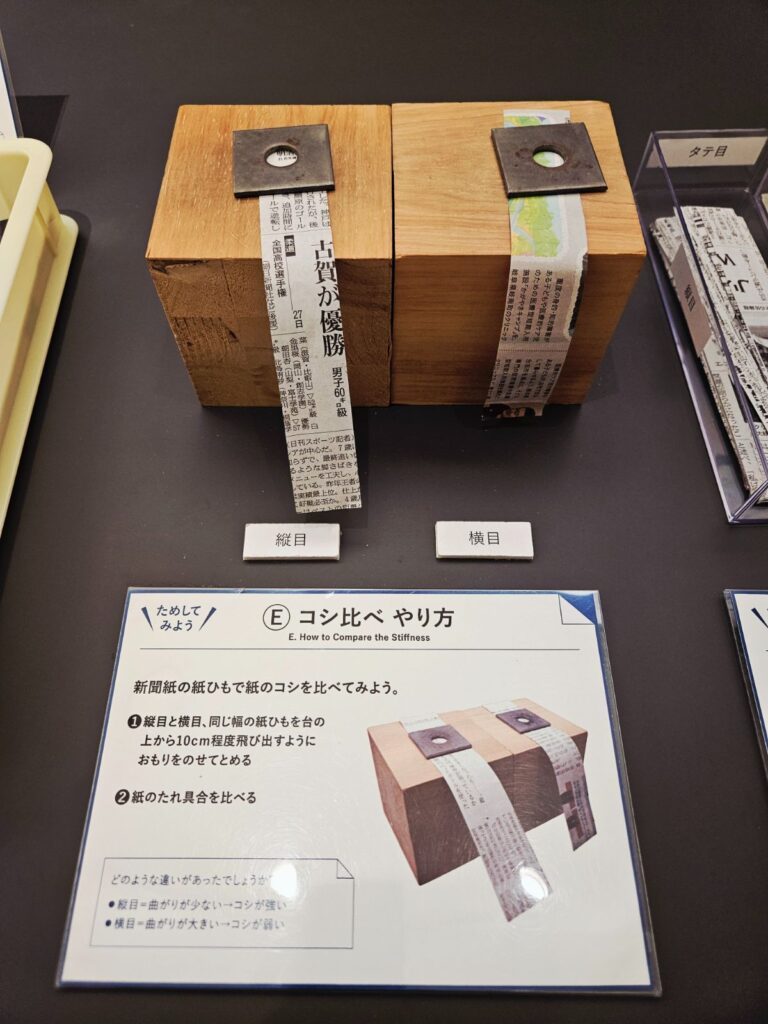 違いが目で分かる紙の不思議