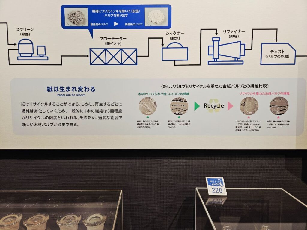 紙の工程を学べる