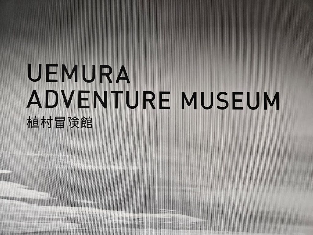 入館無料で気軽に立ち寄れる。短時間のおでかけにもぴったり