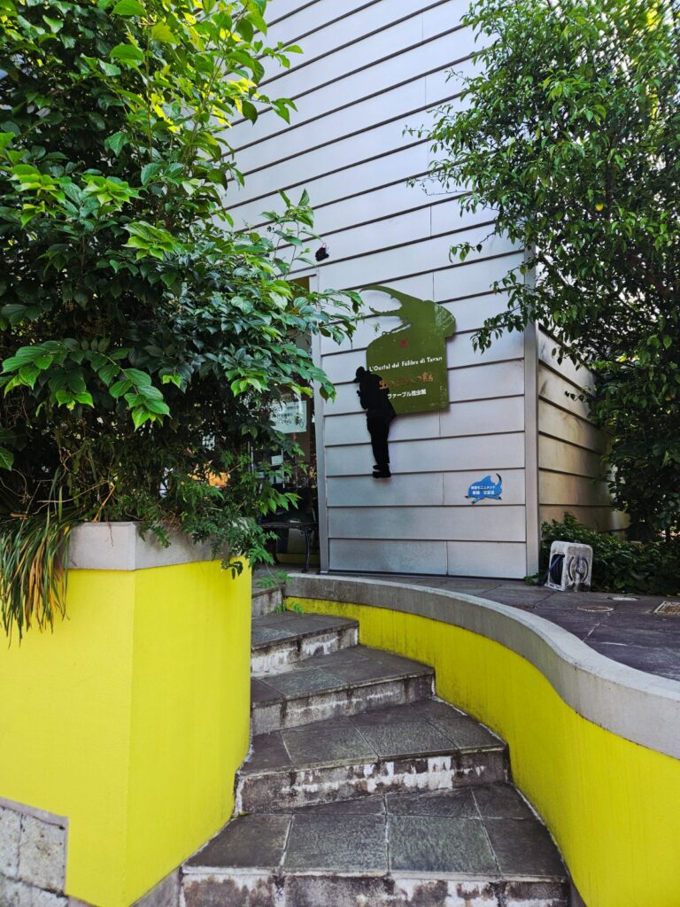 入館無料で予約不要!コストを気にせず、親子でふらっと立ち寄れるのが嬉しいポイントです。