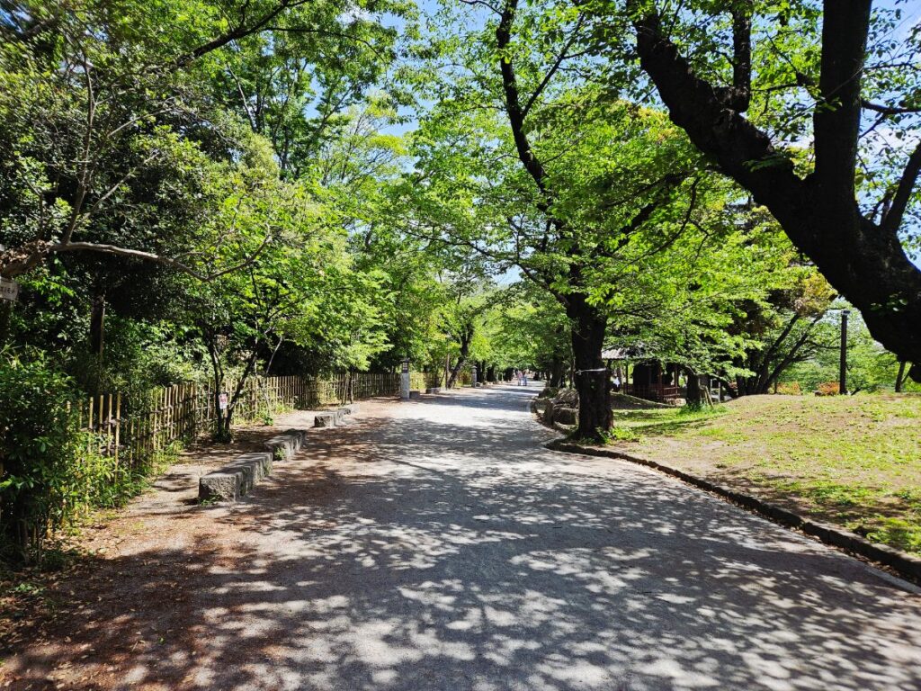 飛鳥山公園内部にある博物館