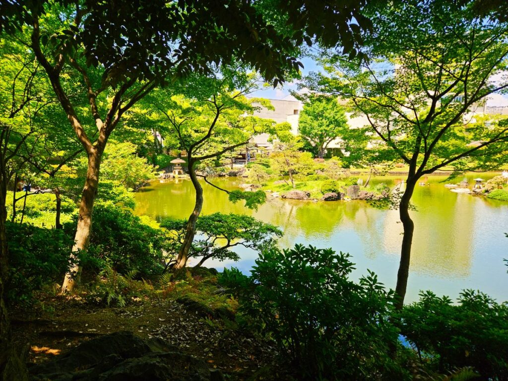 飛び石や松、水辺の景色がとても綺麗。歩くたびに景色が変わるのも魅力です。